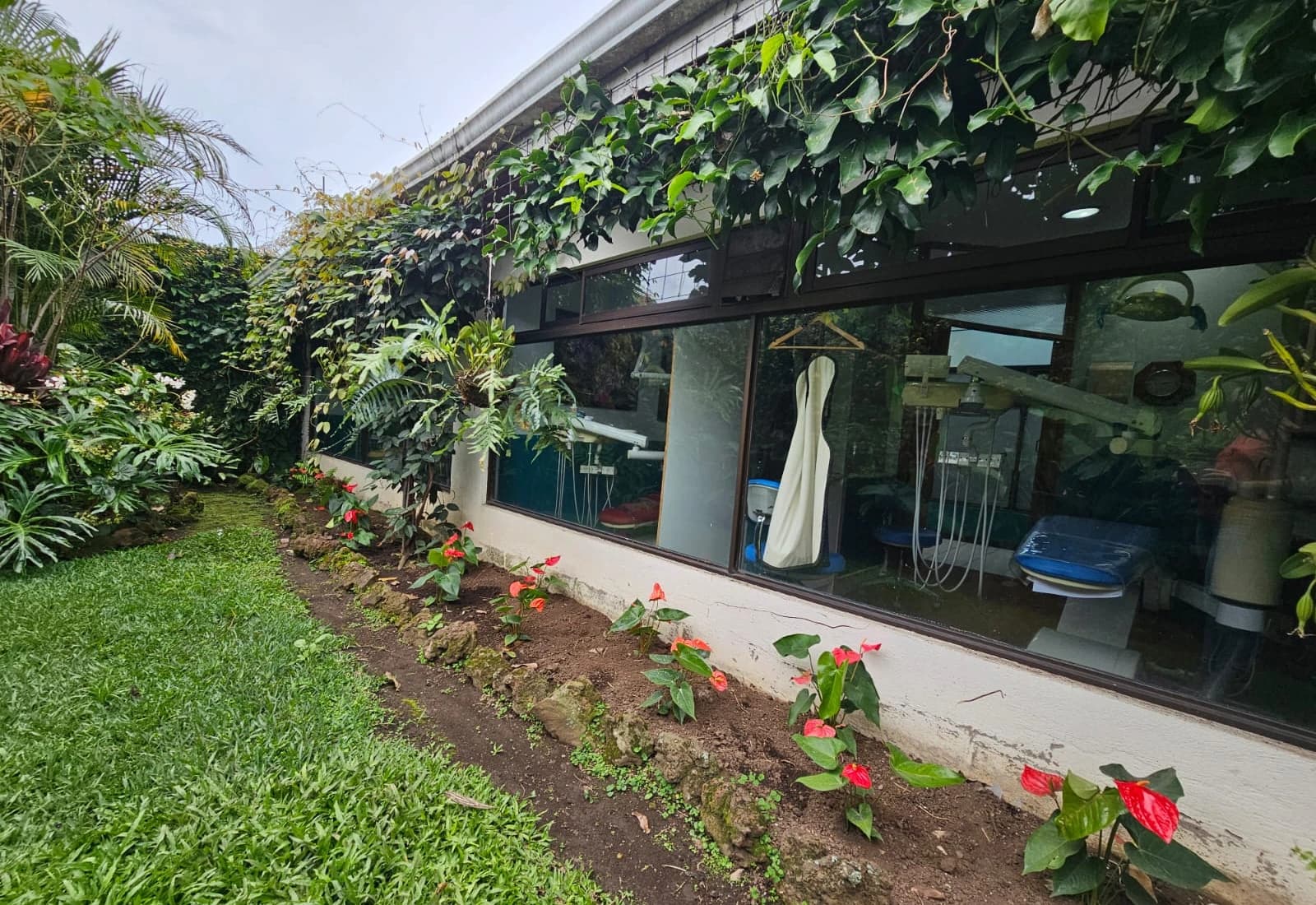 Vista de consultorios desde el jardín